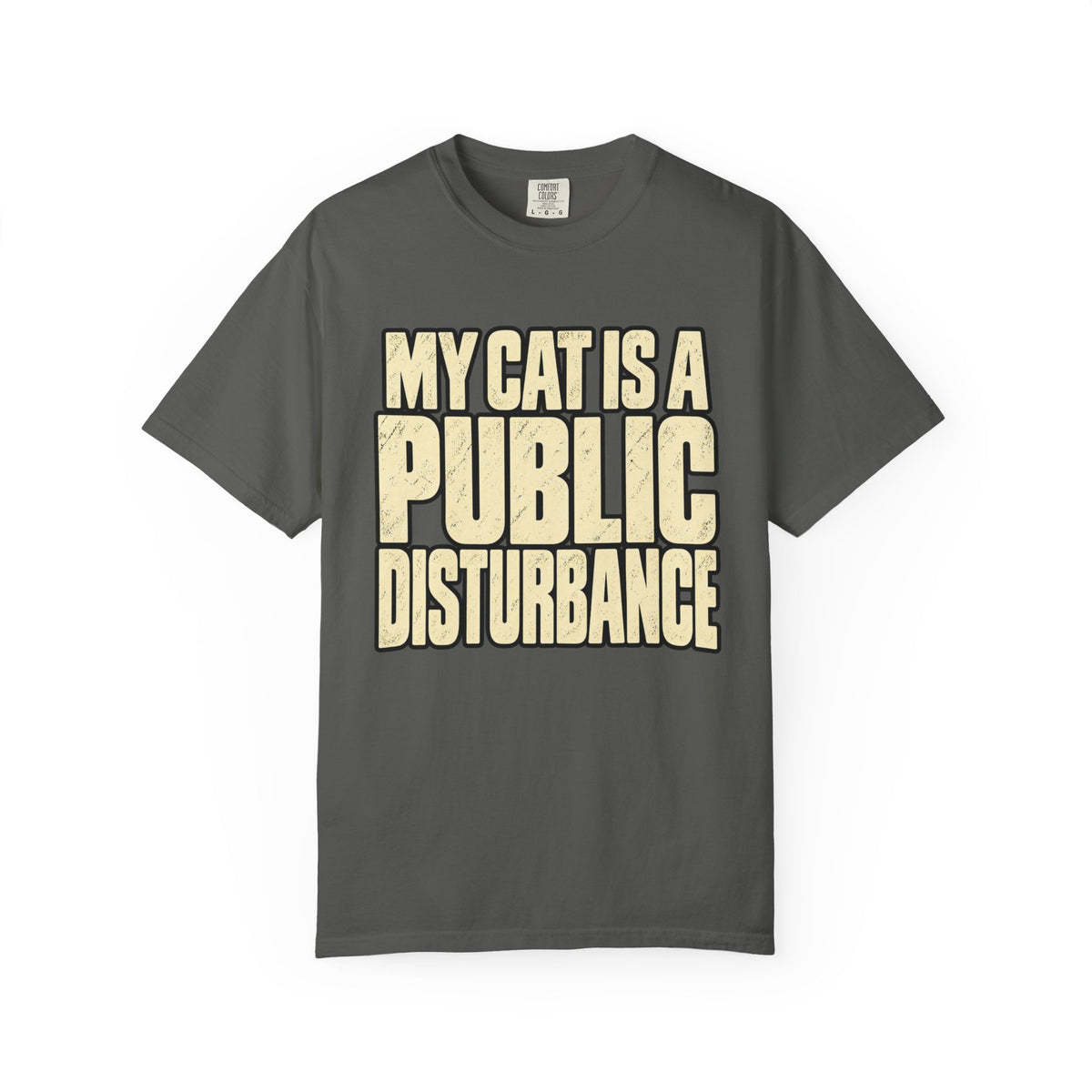 Public Disturbance T-shirt